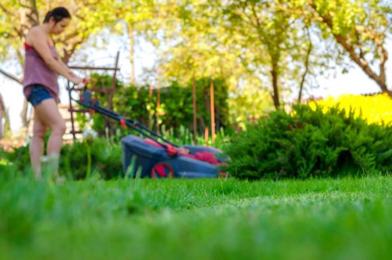 Craftsman Gas Powered 3-in-1 Push Lawn Mower