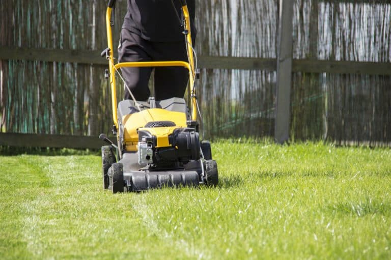 EGO Power+ 20-Inch 56-Volt Lithium-ion Cordless Lawn Mower
