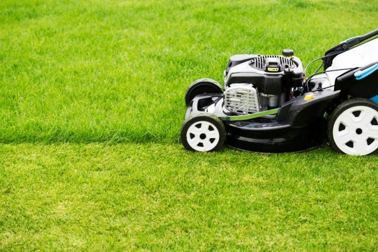 Snapper XD SXDWM82K 82V Cordless 21-Inch Walk Mower Kit