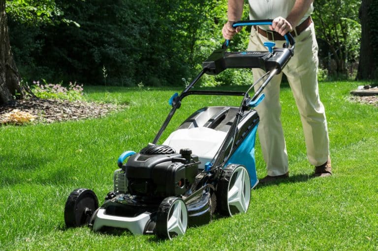 when to buy lawn mower
